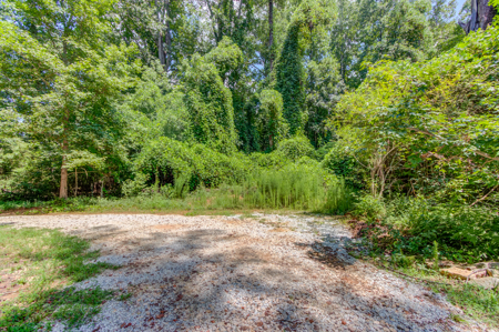 Peaceful Agricultural Land with Creek – Build Your Dream Home in - image 13