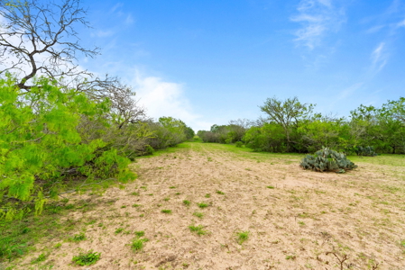 46 Acre Texas Hunting/Recreation Ranch with Barndominium/Shop - image 16