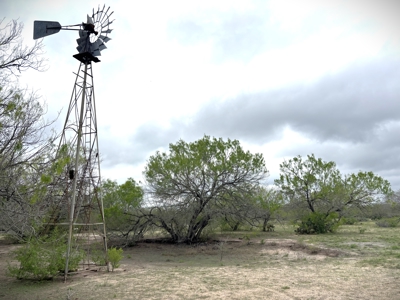 46 Acre Texas Hunting/Recreation Ranch with Barndominium/Shop - image 28