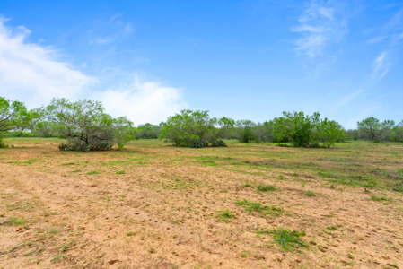 46 Acre Texas Hunting/Recreation Ranch with Barndominium/Shop - image 23
