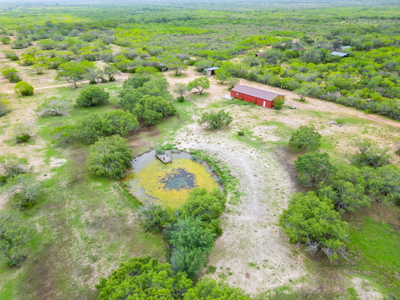 46 Acre Texas Hunting/Recreation Ranch with Barndominium/Shop - image 1