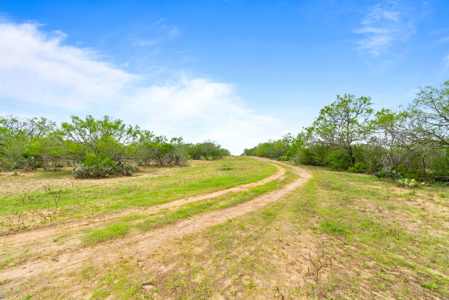 46 Acre Texas Hunting/Recreation Ranch with Barndominium/Shop - image 17