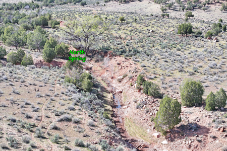 Acreage for Sale Gateway, Colorado - image 19
