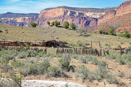 Acreage for Sale Gateway, Colorado - image 2