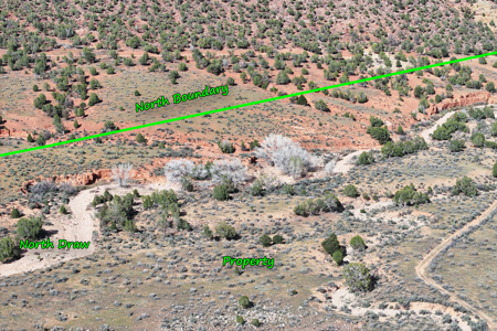 Acreage for Sale Gateway, Colorado - image 17