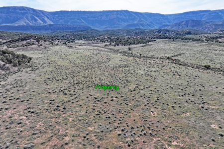 Acreage for Sale Gateway, Colorado - image 25