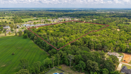 Prime East Texas Land for Sale on 29+ Acres of Timberland - image 2