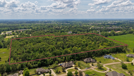 Prime East Texas Land for Sale on 29+ Acres of Timberland - image 5