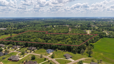 Prime East Texas Land for Sale on 29+ Acres of Timberland - image 4