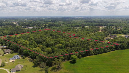 Prime East Texas Land for Sale on 29+ Acres of Timberland - image 3