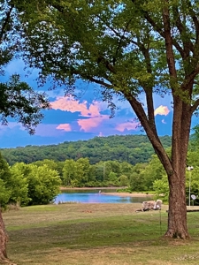 Lakefront Estate on 10 Acres with Gentle Walk to Water - image 3
