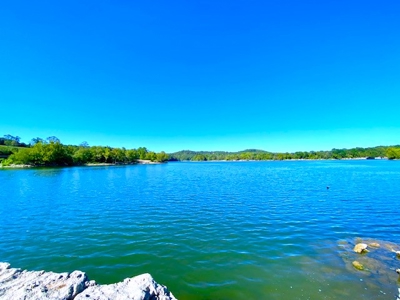 Lakefront Estate on 10 Acres with Gentle Walk to Water - image 9