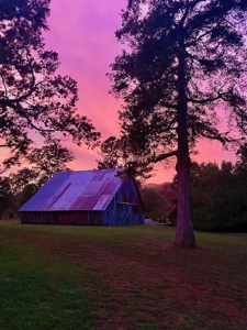 Lakefront Estate on 10 Acres with Gentle Walk to Water - image 20