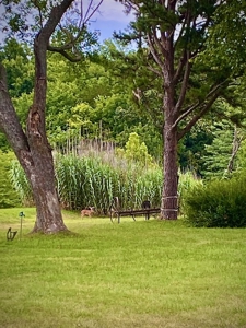 Lakefront Estate on 10 Acres with Gentle Walk to Water - image 11