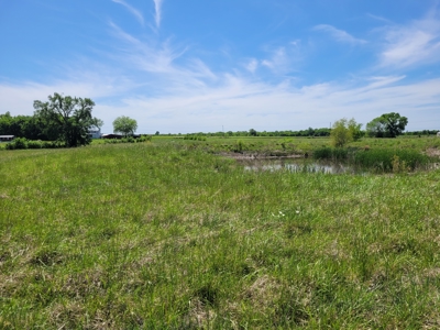 30± Acres Open Land w/ Pond Clarksville TX - image 13
