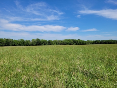 30± Acres Open Land w/ Pond Clarksville TX - image 11