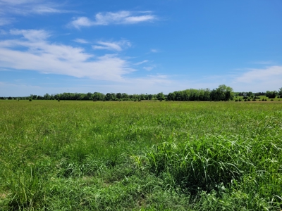 30± Acres Open Land w/ Pond Clarksville TX - image 6
