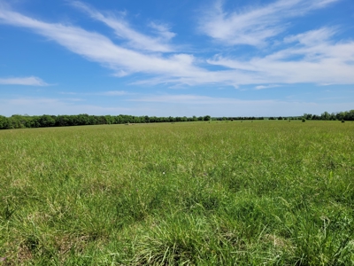 30± Acres Open Land w/ Pond Clarksville TX - image 7