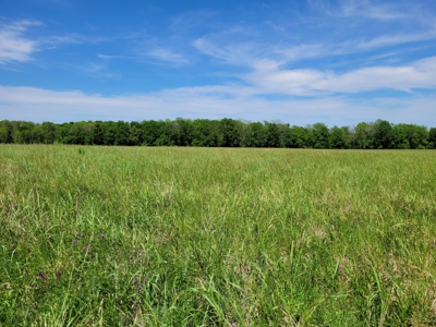 30± Acres Open Land w/ Pond Clarksville TX - image 9