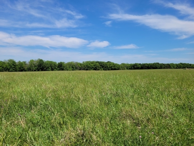 30± Acres Open Land w/ Pond Clarksville TX - image 8