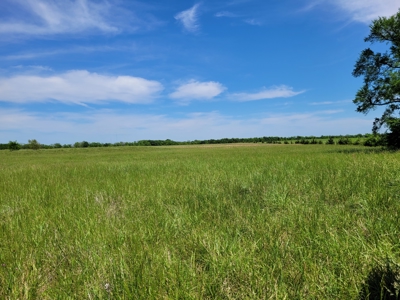 30± Acres Open Land w/ Pond Clarksville TX - image 3