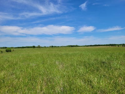 30± Acres Open Land w/ Pond Clarksville TX - image 2
