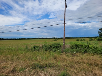 30± Acres Open Land w/ Pond Clarksville TX - image 17