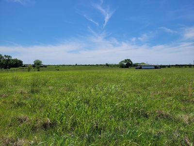 30± Acres Open Land w/ Pond Clarksville TX - image 4