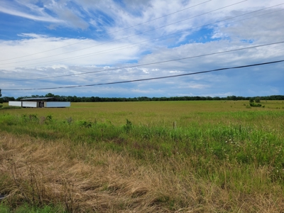 30± Acres Open Land w/ Pond Clarksville TX - image 20
