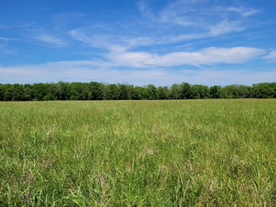 30± Acres Open Land w/ Pond Clarksville TX - image 10