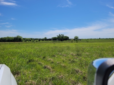 30± Acres Open Land w/ Pond Clarksville TX - image 5