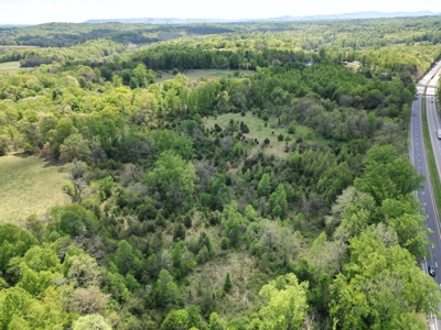 Prime 17± Acre Retreat: Build, Hunt, & Explore Near Rocky Mount - image 7