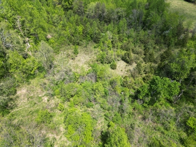 Prime 17± Acre Retreat: Build, Hunt, & Explore Near Rocky Mount - image 12
