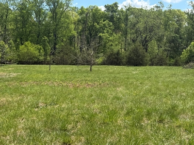 Prime 17± Acre Retreat: Build, Hunt, & Explore Near Rocky Mount - image 17