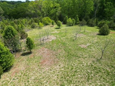 Prime 17± Acre Retreat: Build, Hunt, & Explore Near Rocky Mount - image 15