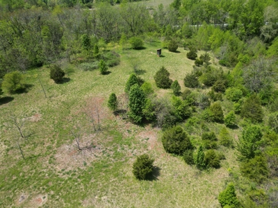 Prime 17± Acre Retreat: Build, Hunt, & Explore Near Rocky Mount - image 9