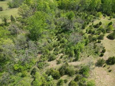 Prime 17± Acre Retreat: Build, Hunt, & Explore Near Rocky Mount - image 11