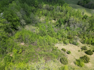 Prime 17± Acre Retreat: Build, Hunt, & Explore Near Rocky Mount - image 13