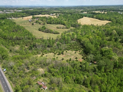 Prime 17± Acre Retreat: Build, Hunt, & Explore Near Rocky Mount - image 4