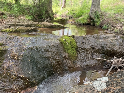 Prime 17± Acre Retreat: Build, Hunt, & Explore Near Rocky Mount - image 26