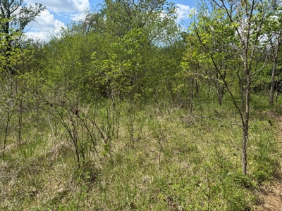 Prime 17± Acre Retreat: Build, Hunt, & Explore Near Rocky Mount - image 24