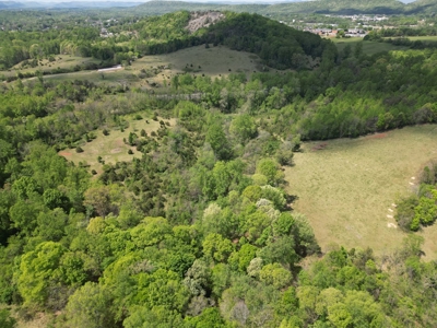 Prime 17± Acre Retreat: Build, Hunt, & Explore Near Rocky Mount - image 5