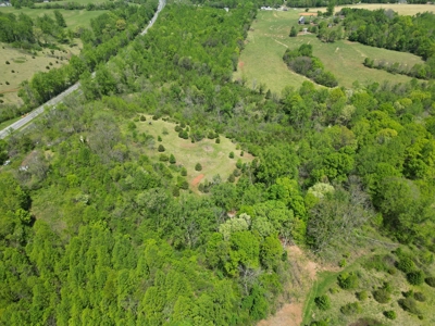 Prime 17± Acre Retreat: Build, Hunt, & Explore Near Rocky Mount - image 3