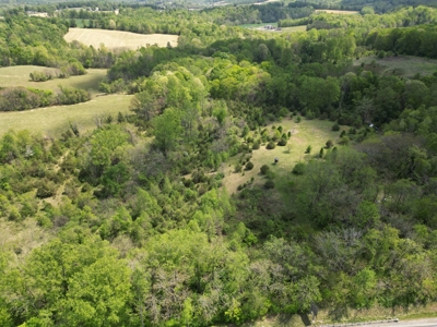 Prime 17± Acre Retreat: Build, Hunt, & Explore Near Rocky Mount - image 8