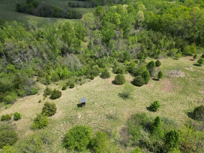 Prime 17± Acre Retreat: Build, Hunt, & Explore Near Rocky Mount - image 14
