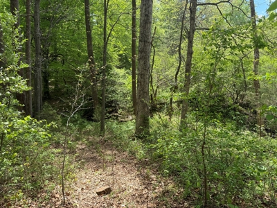 Prime 17± Acre Retreat: Build, Hunt, & Explore Near Rocky Mount - image 22