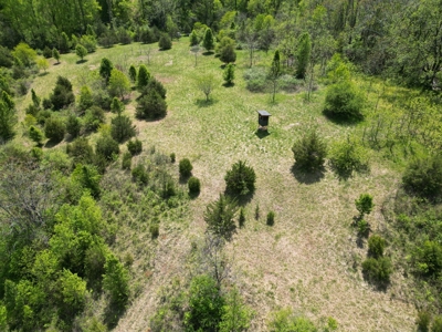 Prime 17± Acre Retreat: Build, Hunt, & Explore Near Rocky Mount - image 10