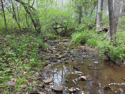 Prime 17± Acre Retreat: Build, Hunt, & Explore Near Rocky Mount - image 25