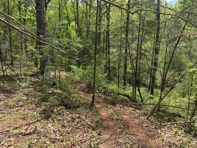 Prime 17± Acre Retreat: Build, Hunt, & Explore Near Rocky Mount - image 21