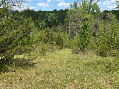 Prime 17± Acre Retreat: Build, Hunt, & Explore Near Rocky Mount - image 18